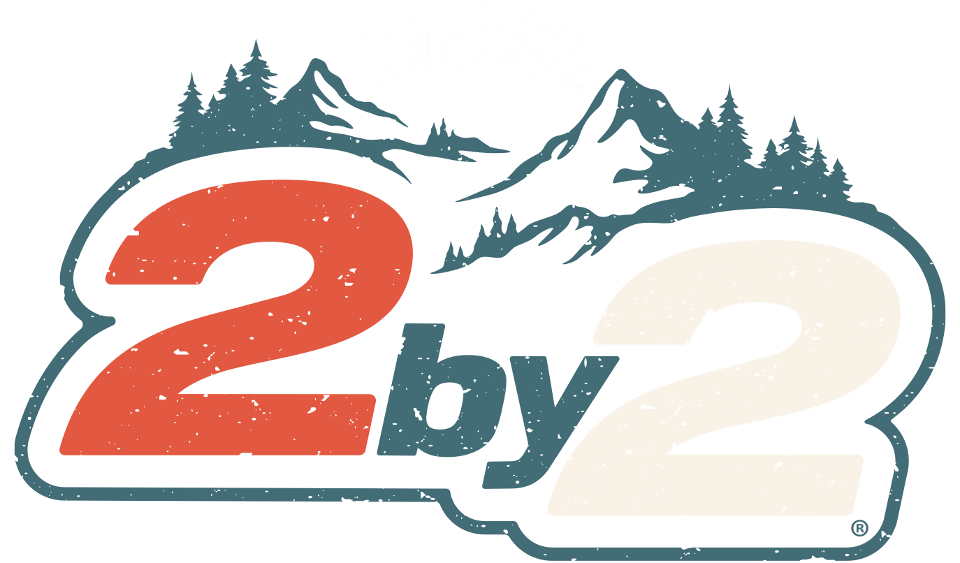 2by2 active ticket