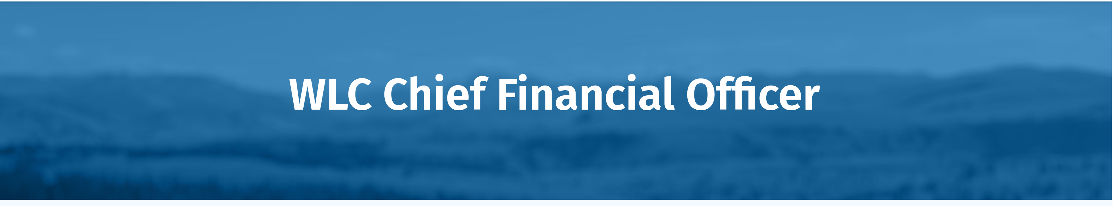 cfo