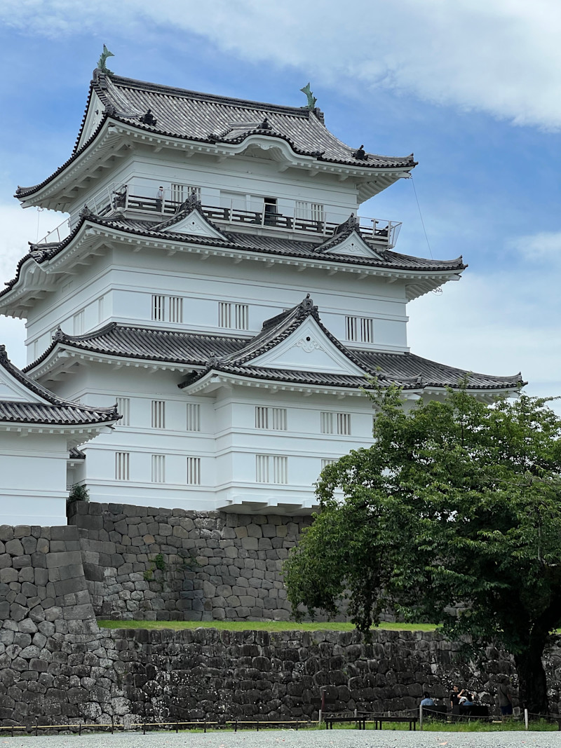 小田原の魅力を4時間でぎゅっと凝縮。食と歴史で地元とつながる、やさしい旅。【 11/8｜11/18 】