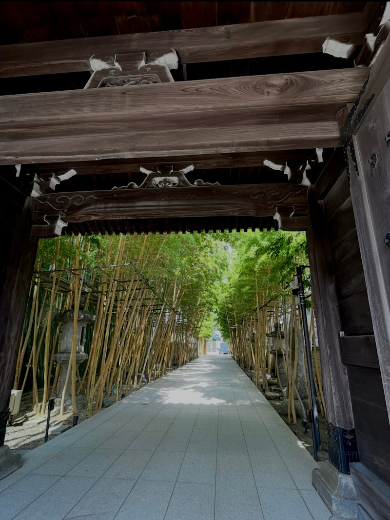 国宝の眠る美術館と国内最大級の観音像｜南青山の名店フレンチを味わう贅沢旅【 11/5｜11/18 】