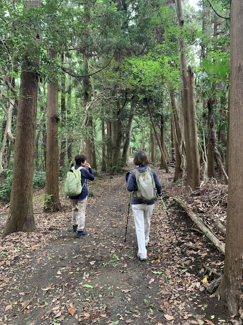 地元ガイドおすすめ。相模湾と富士山を眺める、大磯でハイキング｜山頂ランチつき【 10/30｜11/4｜11/16 】