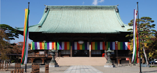 護国寺の歴史ある建築と雑司ヶ谷の銀杏並木を巡る｜話題沸騰のおにぎり専門店【 11/4｜11/12 】