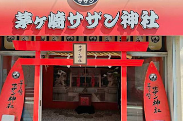 海と音楽の街茅ヶ崎で、サザンビーチを眺めながら豪華ランチコースが食べれる湘南デイトリップ【 11/6｜11/14 】