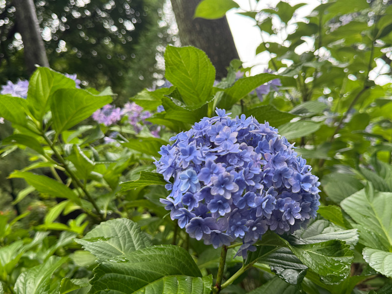 調布・ 深大寺で自然と陶芸体験ツアー｜名物手打ちそば付き【 10/24｜11/07 】