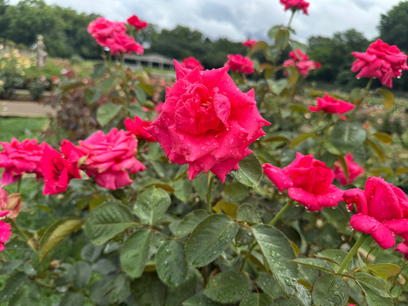 調布・ 深大寺で自然と陶芸体験ツアー｜名物手打ちそば付き【 10/24｜11/07 】