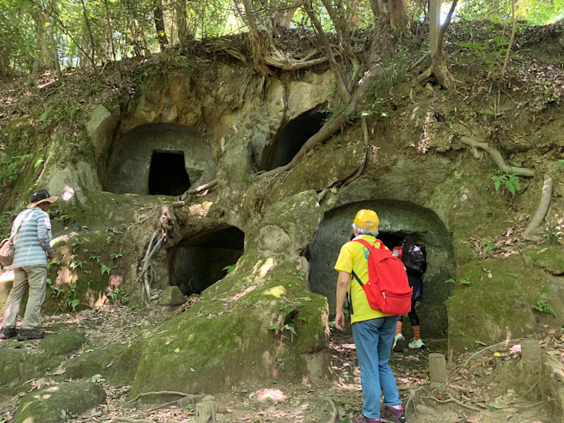 地元ガイドおすすめ。相模湾と富士山を眺める、大磯でハイキング｜山頂ランチつき【 10/30｜11/4｜11/16 】