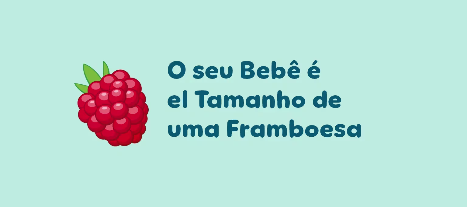 8 semanas de gravidez