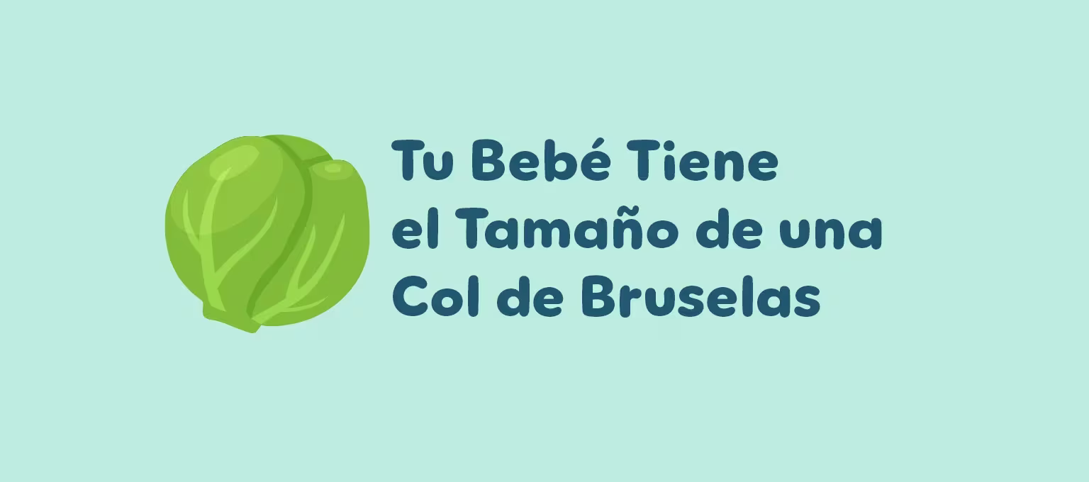 11 semanas de embarazo