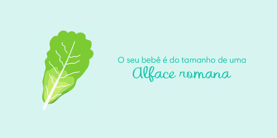 Your baby is the size of romaine lettuce