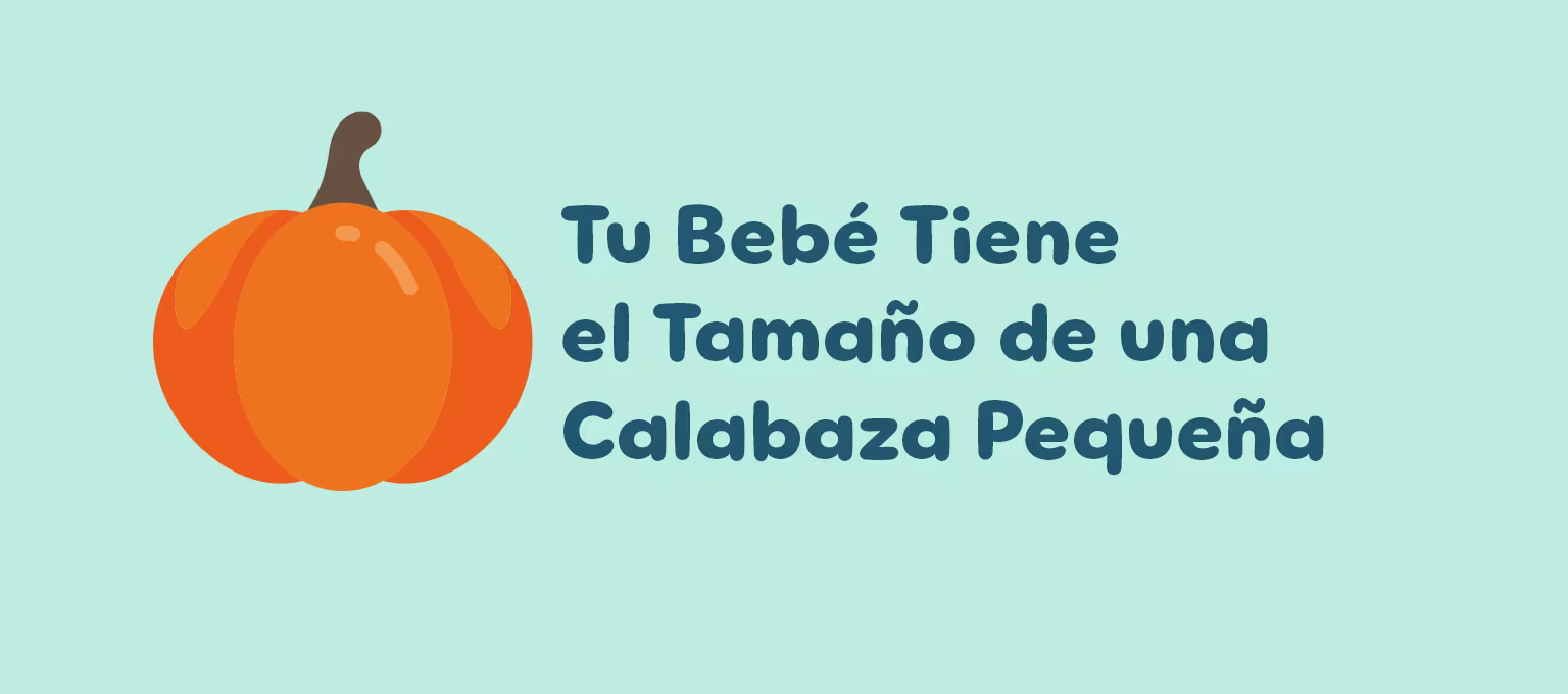40 semanas de embarazo