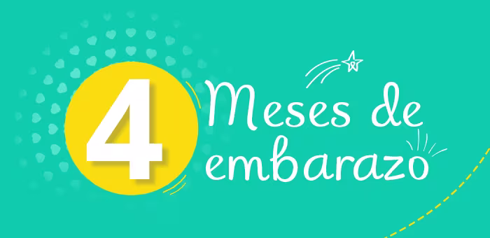4 meses de embarazo