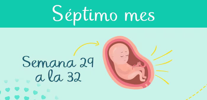 Mes 7 de embarazo: síntomas y desarrollo del feto
