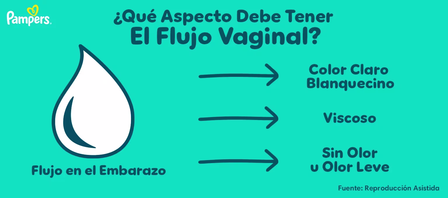 flujo blanco