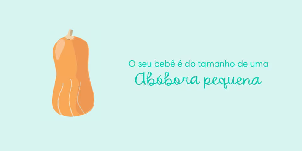 Your baby is the size of a butternut squash