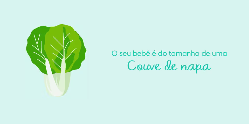 Your baby is the size of a Napa cabbage