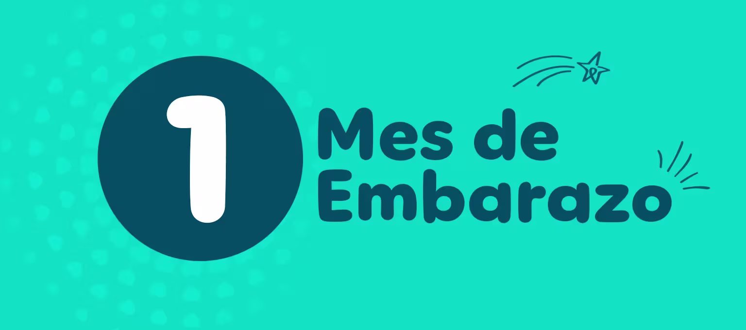 Primer mes de embarazo