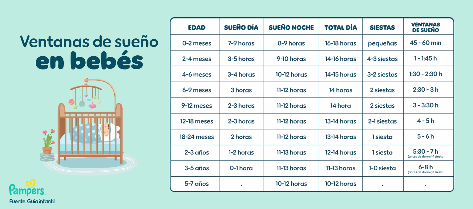 Ventanas de sueño en bebés