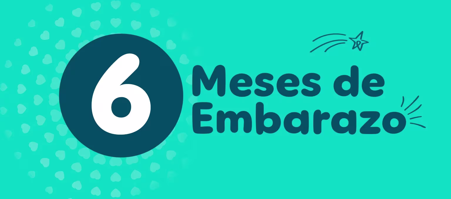 6 meses de embarazo