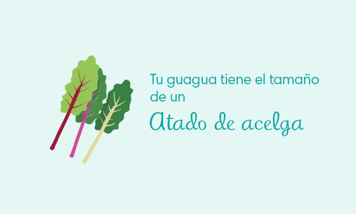 Tamaño de la guagua en la semana 37 de embarazo