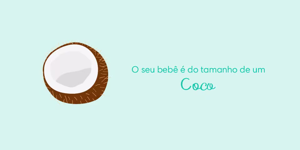 Your baby is the size of a coconut