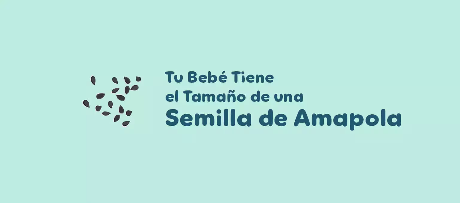 4 Semanas de Embarazo