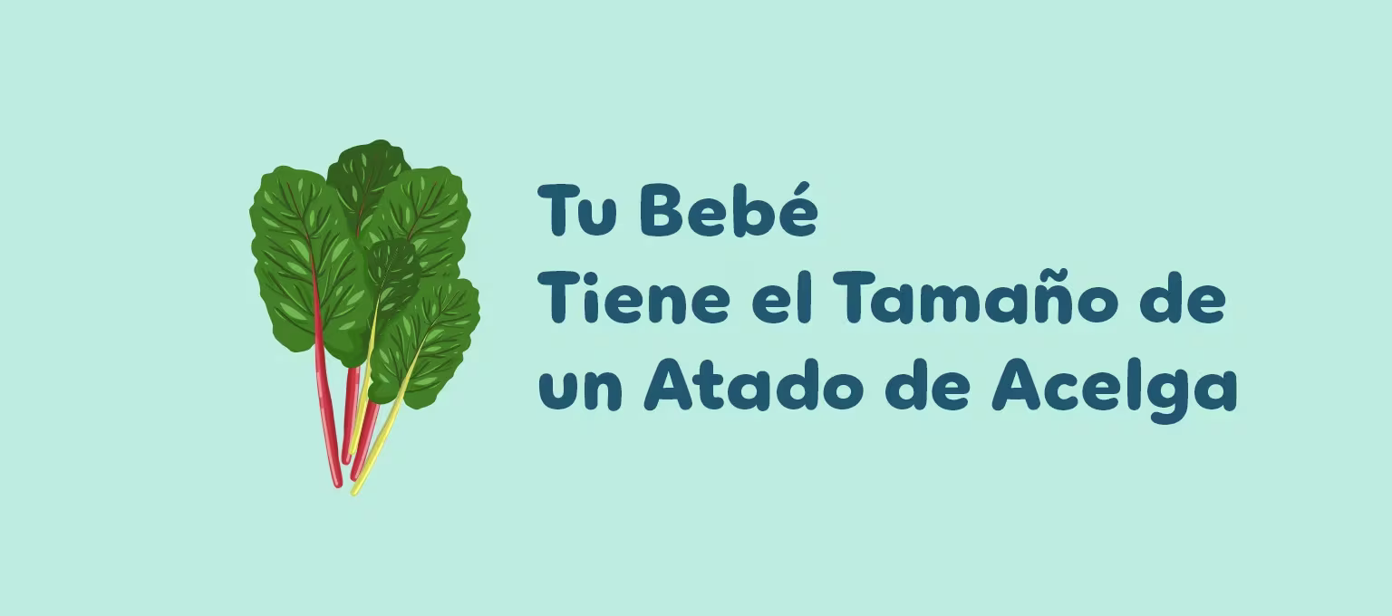 Semana 37 de embarazo