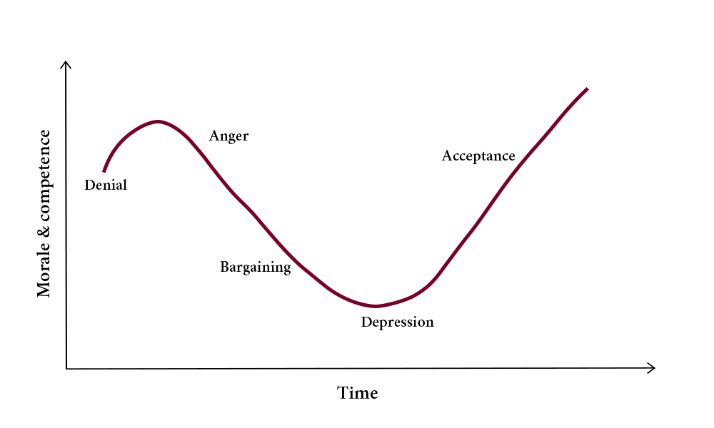 Grief Curve Graph