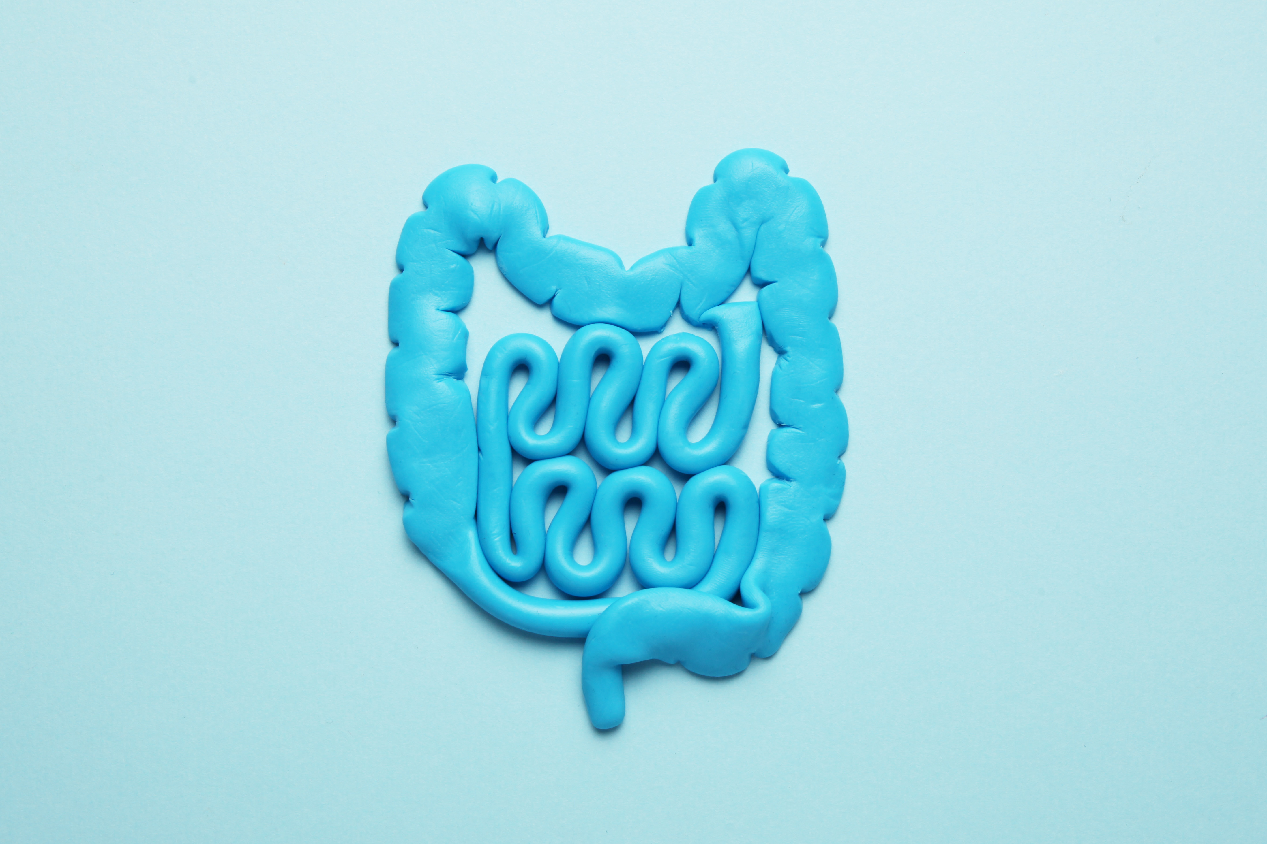 Playdough gut against a blue background - probiotics after antibiotics. 