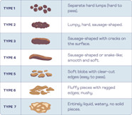 Cracking The Code The Bristol Stool Chart Heights Cracking The Code The Bristol Stool Chart Heights