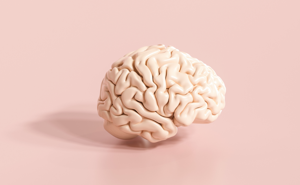 Pink brain against a pink background for Brain Awareness Week—Heights.