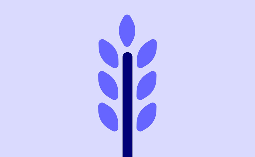 ingredients 08 thiamine-B1 illustration