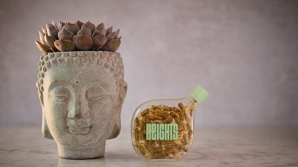 Budda head with a plant and the Smart Supplement next to it