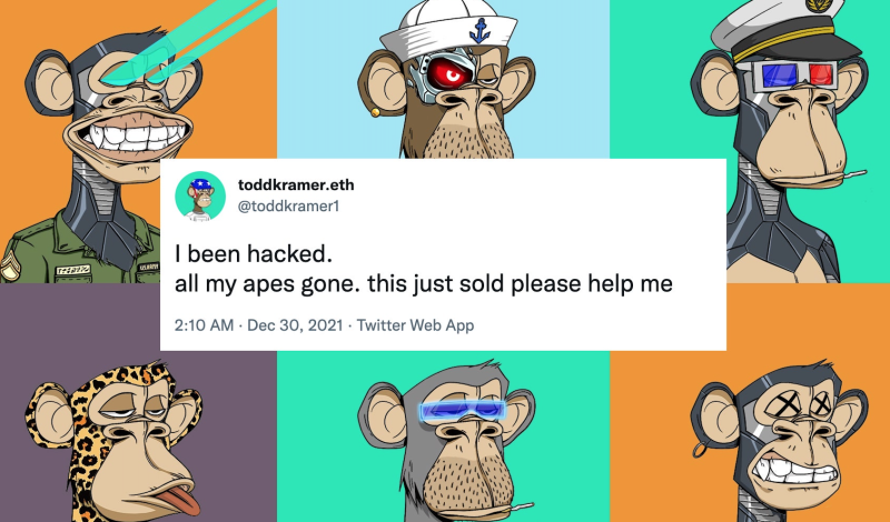 Apes hack tweet 