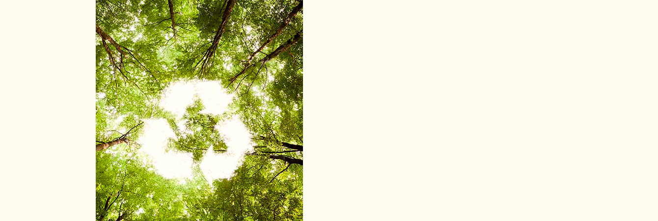 Sustainability Page Banner