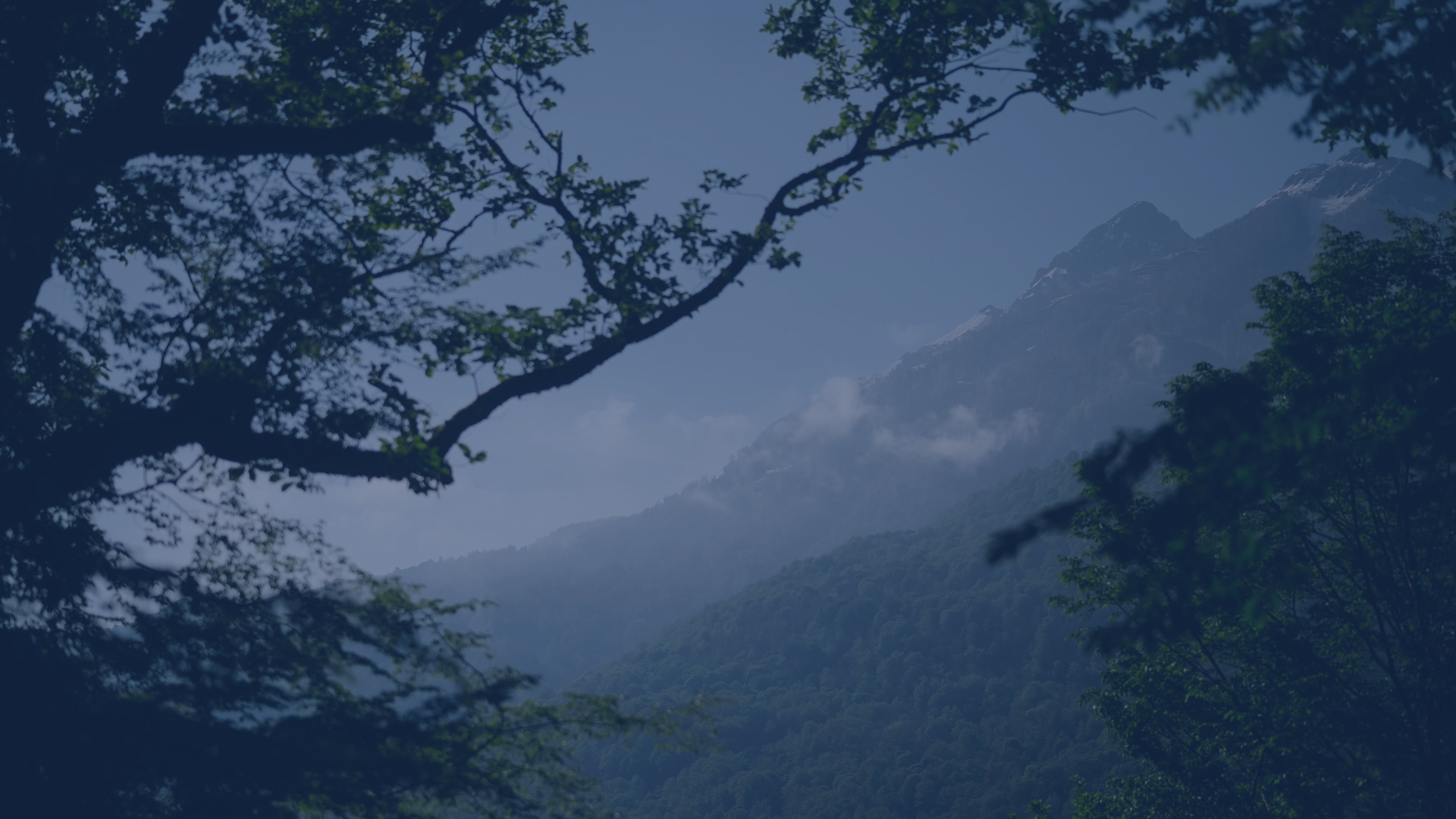 The appeal of emerging market debt