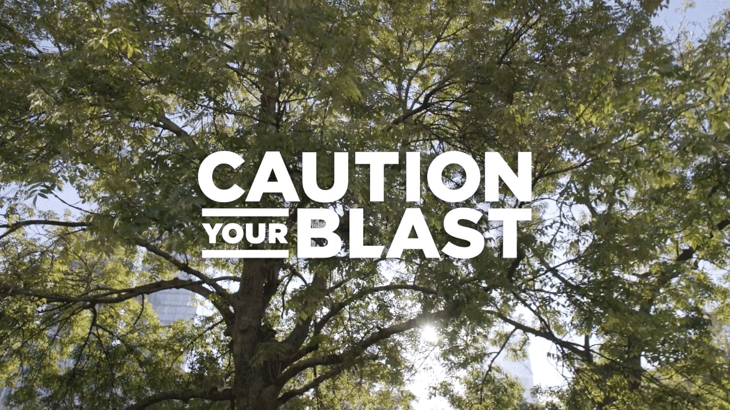 Image of the caution your blast logo surrounded by a tree canopy