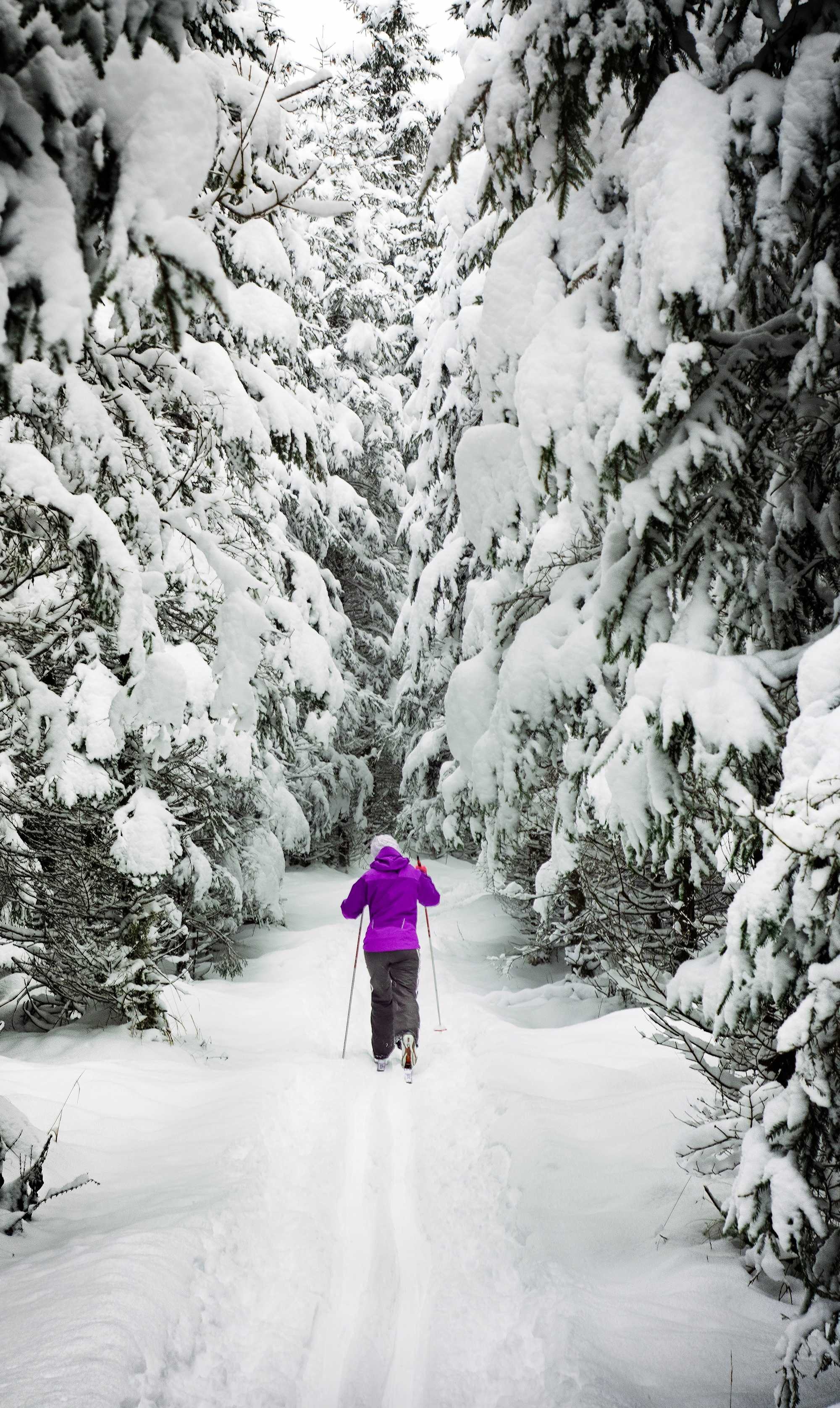 Tug Hill Resort Tug Hill Resort Redfield, NY