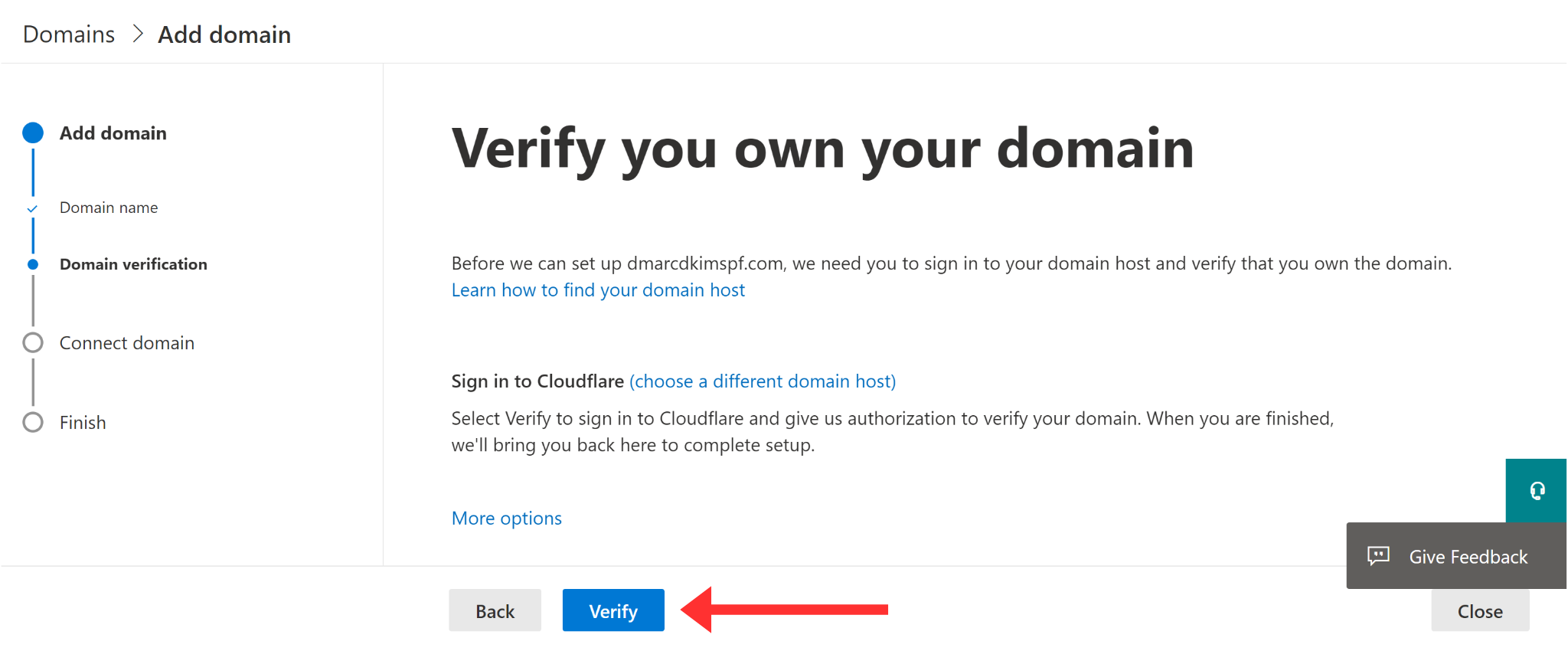 Click authorize in to add DNS records to the domain provider