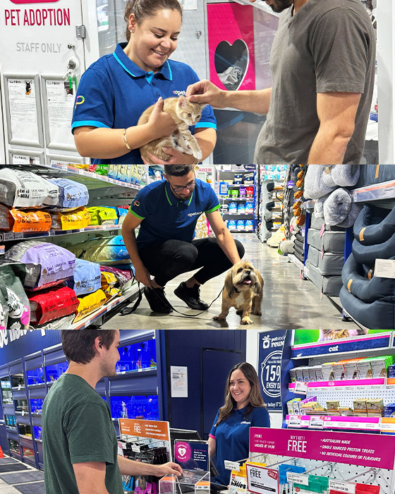 About Us Petstock Petstock