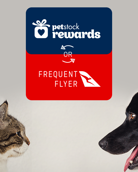 Petstock Rewards Petstock