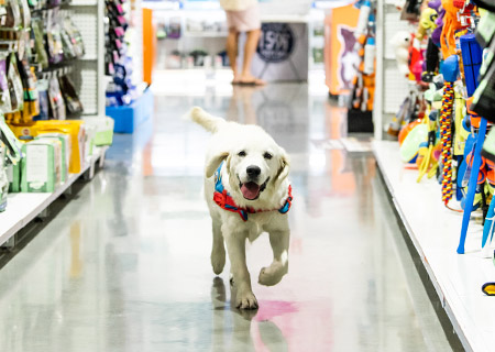 dog mart near me