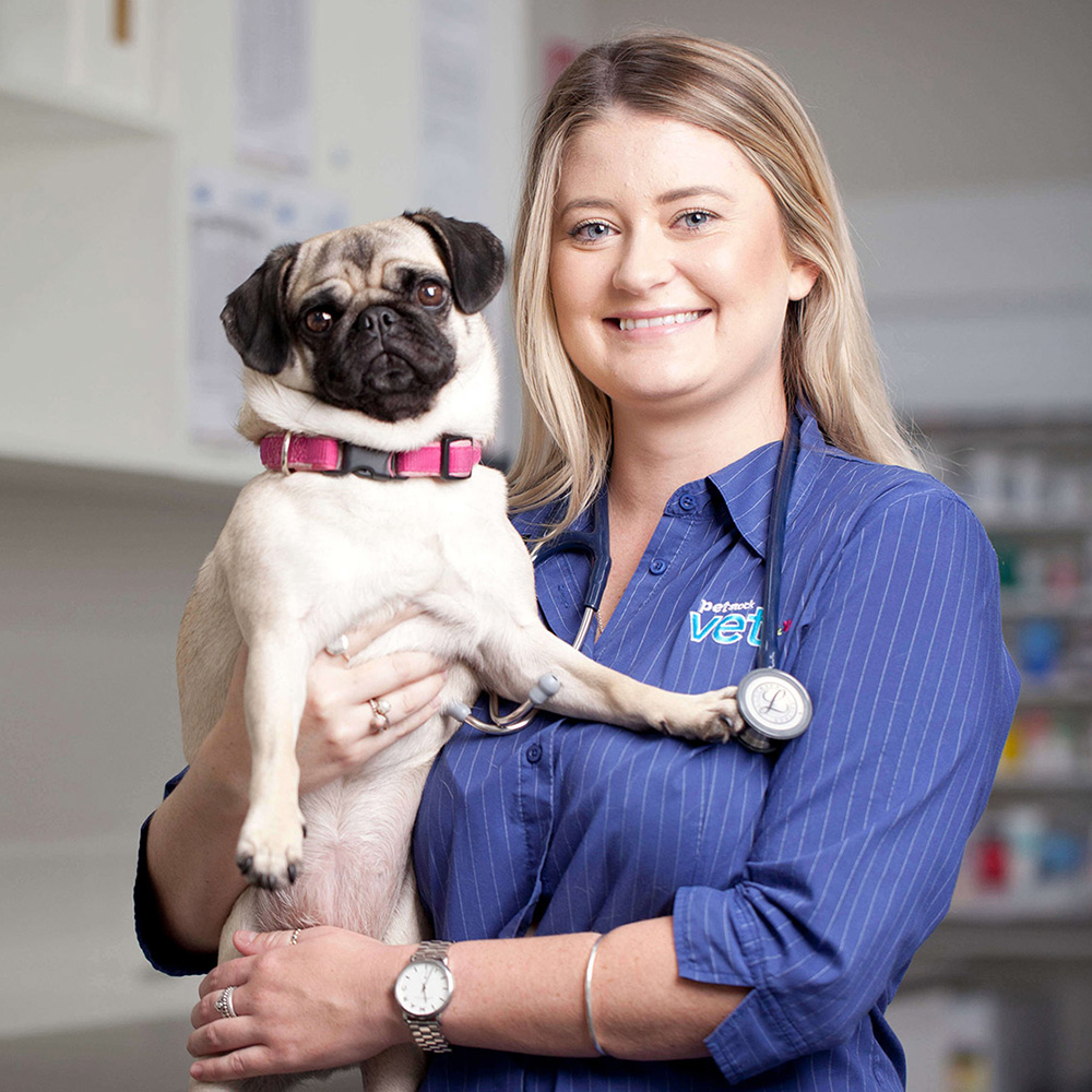 About PETstock Vet PETstock Petstock