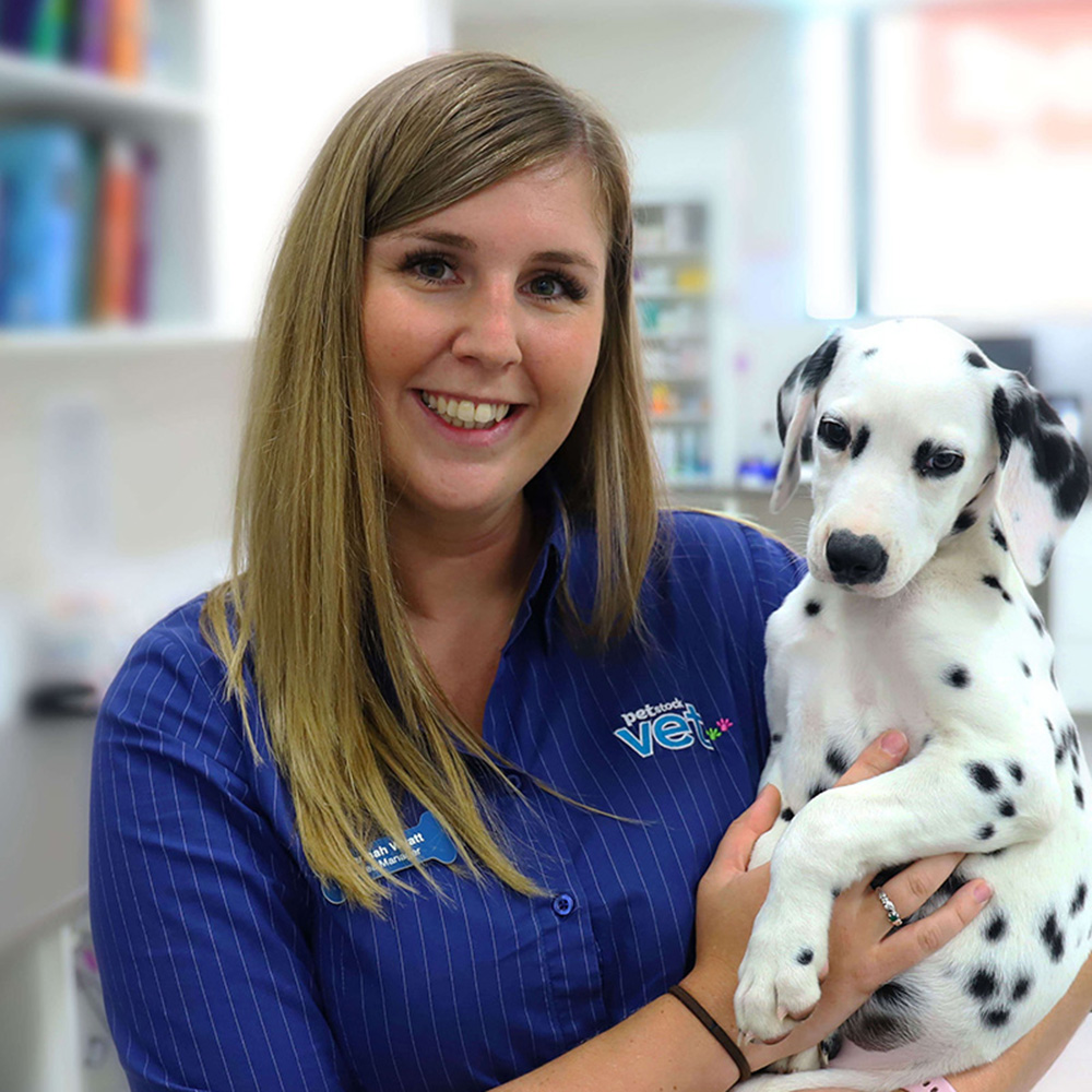 About PETstock Vet PETstock Petstock