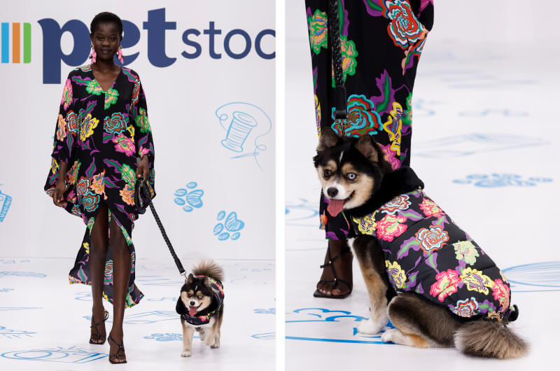 Afterpay Australian Fashion Week Petstock