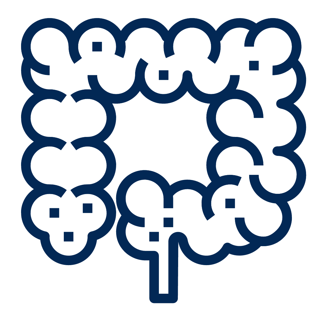 Ivory Coat PETstock PETstock