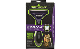 Cat & Kitten Supplies | PETstock | Petstock