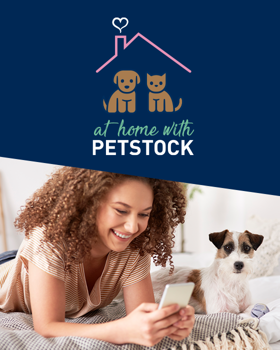 At Home With Petstock Petstock AU Petstock