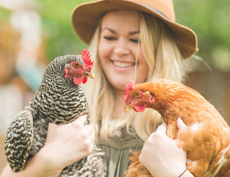 Adoption Hub Adopting Petstock