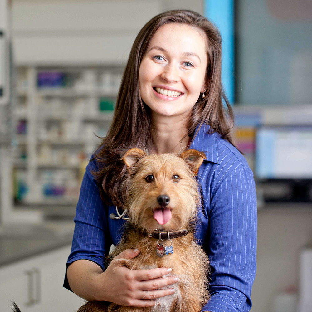 About PETstock Vet PETstock Petstock