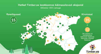 Oksjonil on 3,3 miljoni euro eest kinnistuid